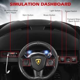 Lamborghini Sian - Black